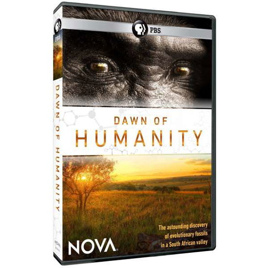 Cover for Nova: Dawn of Humanity (DVD) (2015)