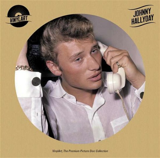 Cover for Johnny Hallyday · Vinylart (LP) (2020)