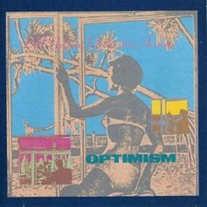 Optimism - Bill -Orchestra Arcana- Nelson - Musiikki - COCTEAU DISCS - 5013929741263 - perjantai 30. lokakuuta 2015