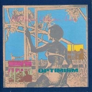 Optimism - Bill -Orchestra Arcana- Nelson - Musik - COCTEAU DISCS - 5013929741263 - 30 oktober 2015