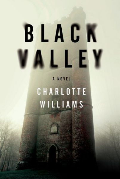 Cover for Charlotte Williams · Black Valley (Paperback Bog) (2015)