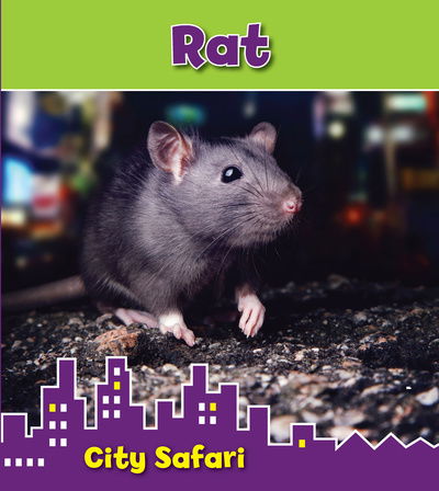 Cover for Isabel Thomas · Rat - City Safari (Hardcover Book) (2014)