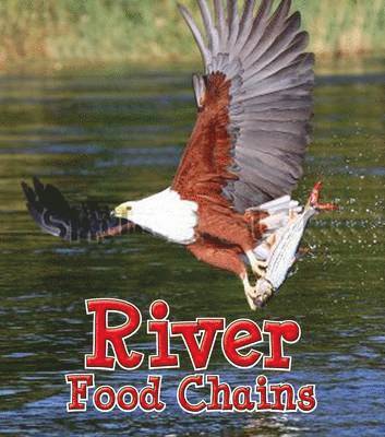 Cover for Angela Royston · River Food Chains (N/A) (2015)