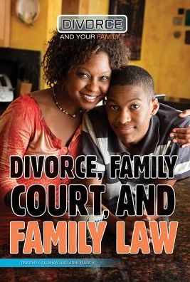 Cover for Timothy Callahan · Divorce, family court, and family law (Book) (2016)