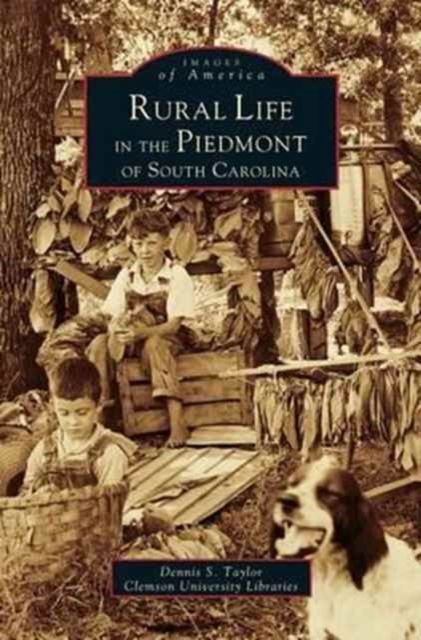 Cover for Dennis S Taylor · Rural Life in the Piedmont of South Carolina (Hardcover Book) (1999)