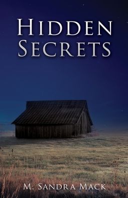 Cover for Salem Publishing Solutions · Hidden Secrets (Paperback Book) (2022)