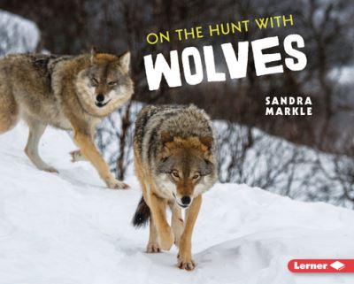 Cover for Sandra Markle · On the Hunt with Wolves (Hardcover Book) (2022)