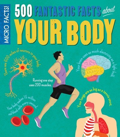 Cover for Anne Rooney · Micro Facts! 500 Fantastic Facts About Your Body - Micro Facts (Paperback Book) (2019)