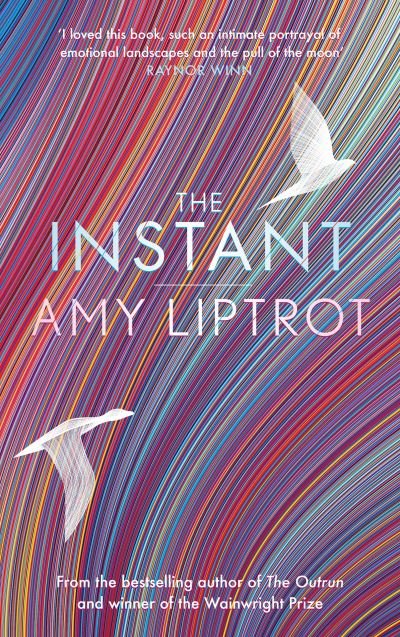 Cover for Amy Liptrot · The Instant: Sunday Times Bestseller (Hardcover Book) [Main edition] (2022)