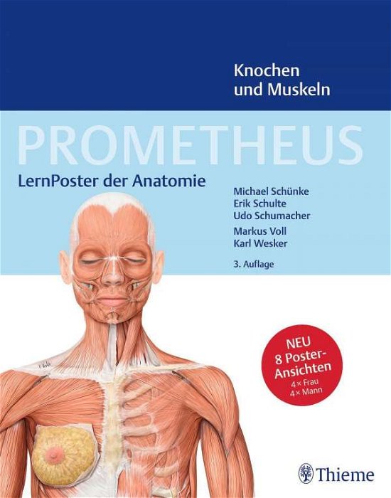 PROMETHEUS LernPoster der Anatomie, Knochen und Muskeln - Michael Schünke - Fanituote - Thieme Medical Publishers - 9783132444263 - keskiviikko 6. lokakuuta 2021