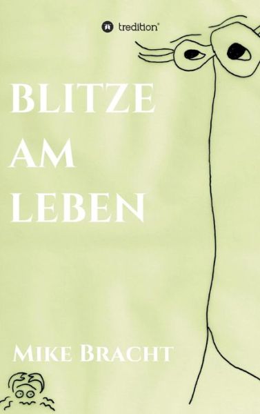 Cover for Mike Bracht · Blitze Am Leben (Hardcover Book) (2015)