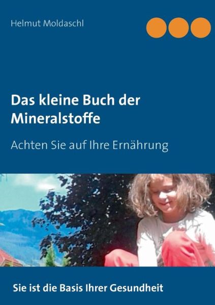 Cover for Helmut Moldaschl · Das kleine Buch der Mineralstoffe (Paperback Book) (2018)