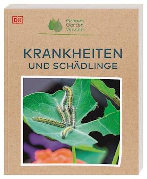 Cover for Jo Whittingham · Grünes Gartenwissen. Krankheiten und Schädlinge (Book) (2023)