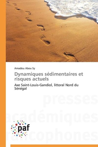 Cover for Amadou Abou Sy · Dynamiques Sédimentaires et Risques Actuels: Axe Saint-louis-gandiol, Littoral Nord Du Sénégal (Paperback Book) [French edition] (2018)