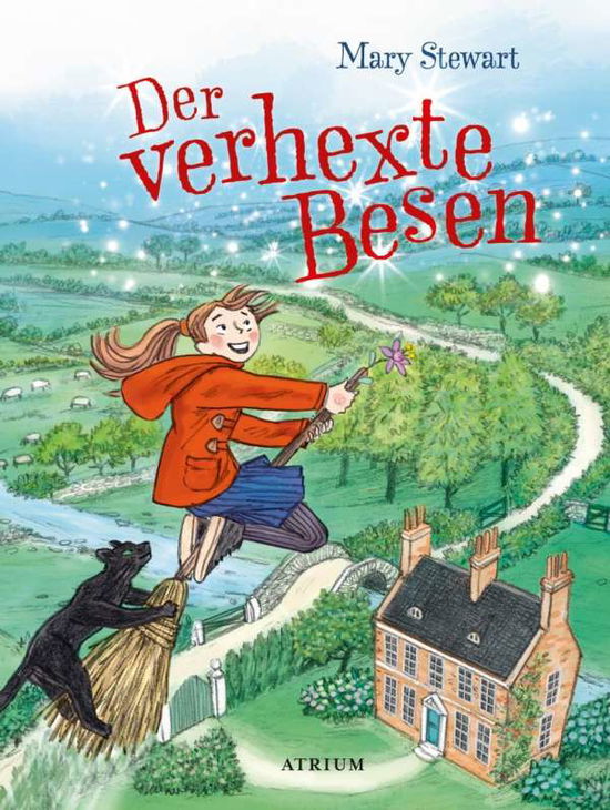 Cover for Stewart · Der verhexte Besen (Book)