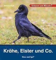 Cover for Barbara Rath · Krähe, Elster und Co. (Bok) (2023)