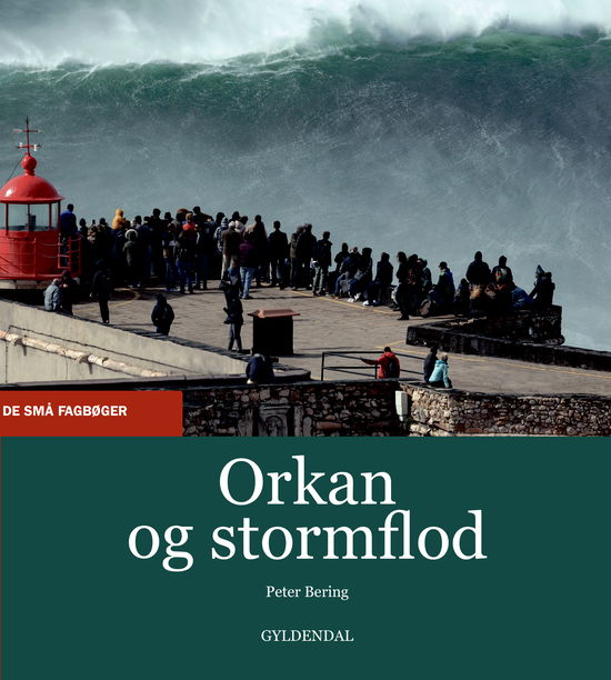 Cover for Peter Bering · De små fagbøger: Orkan og stormflod (Hæftet bog) [1. udgave] (2020)