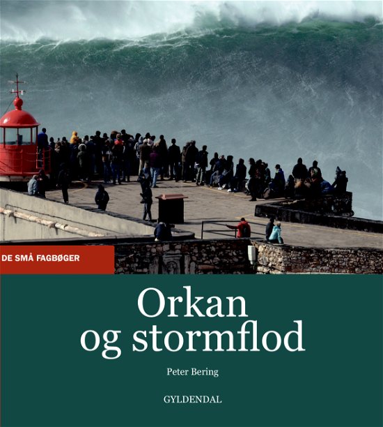 Cover for Peter Bering · De små fagbøger: Orkan og stormflod (Poketbok) [1:a utgåva] (2020)