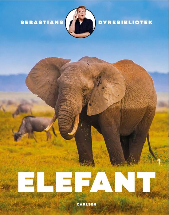 Cover for Sebastian Klein · Sebastians dyrebibliotek: Sebastians dyrebibliotek: Elefant (Bound Book) [1st edition] (2020)