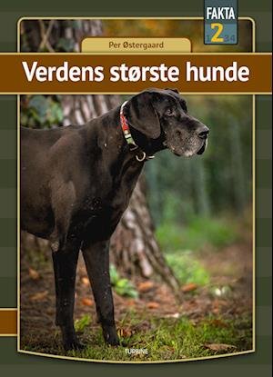 Cover for Per Østergaard · Fakta 2: Verdens største hunde (Hardcover bog) [1. udgave] (2022)