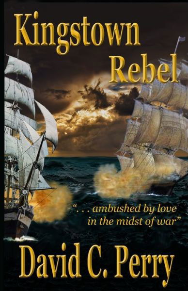 Kingstown Rebel - David Perry - Bøger - Independently Published - 9798610696263 - 8. maj 2020