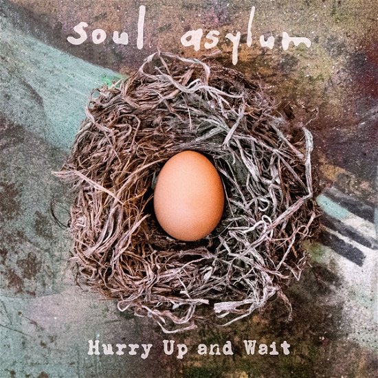 Cover for Soul Asylum · Hurry Up And Wait (LP) [Limited edition] (2020)