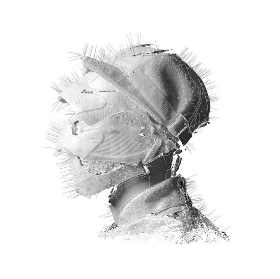 Golden Age - Woodkid - Musikk - Pop Group Other - 0602537276264 - 18. mars 2013