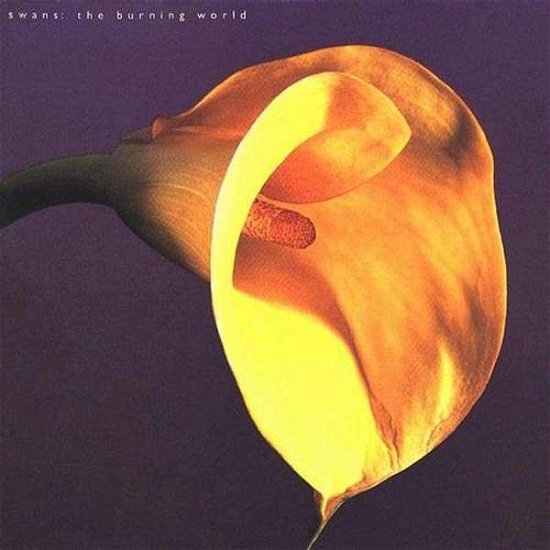 Cover for Swans · Burning World (LP) (2014)