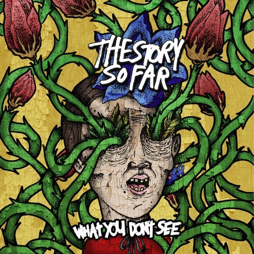 What You Don't See - Story So Far - Muziek - PURE NOISE RECORDS - 0885686931264 - 26 maart 2013