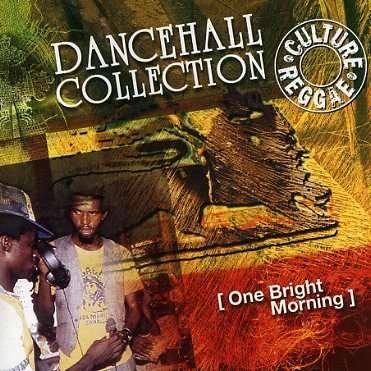 Cover for Compilation Reggae · One Bight Morning : Dancehall Collection (CD) (2007)