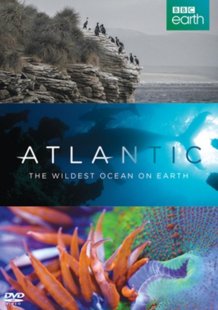 Cover for Atlanticwildest Ocean on Earth Bbc · Atlantic - The Wildest Ocean On Earth (DVD) (2015)