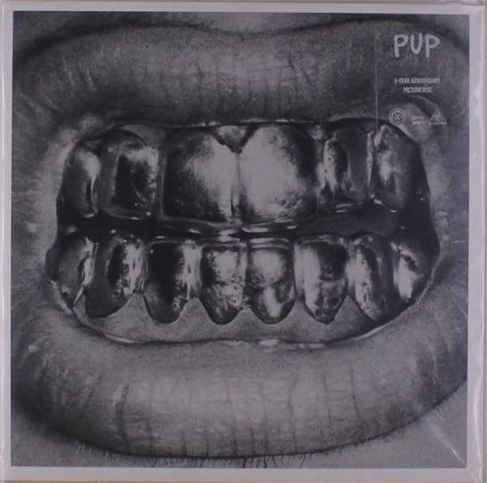 Cover for Pup · Pup - 5th Anniversary Edition (LP) [Picture Disc edition] (2024)