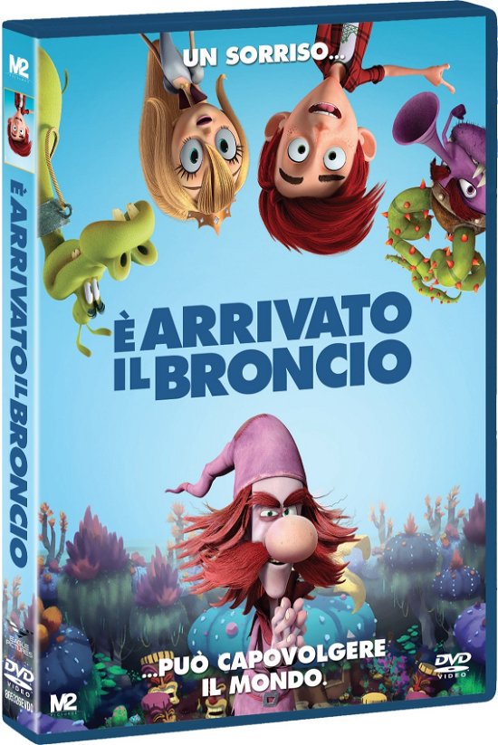 Cover for Cartoni Animati · E' Arrivato Il Broncio (DVD) (2018)