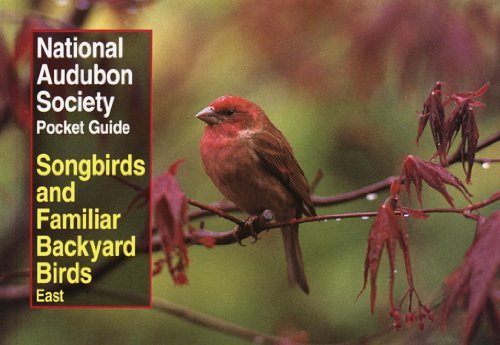 National Audubon Society Pocket Guide to Songbirds and Familiar Backyard Birds: Eastern Region: East - National Audubon Society Pocket Guides - National Audubon Society - Livros - Alfred A. Knopf - 9780679749264 - 29 de março de 1994