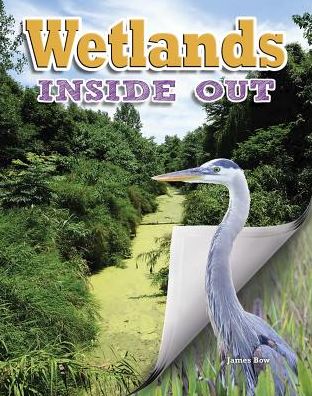 Cover for James Bow · Wetlands - Ecosystems Inside Out (Pocketbok) (2014)