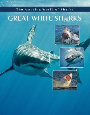 Cover for Elizabeth Roseborough · Great White Sharks - Amazing World of Sharks (Hardcover Book) (2018)