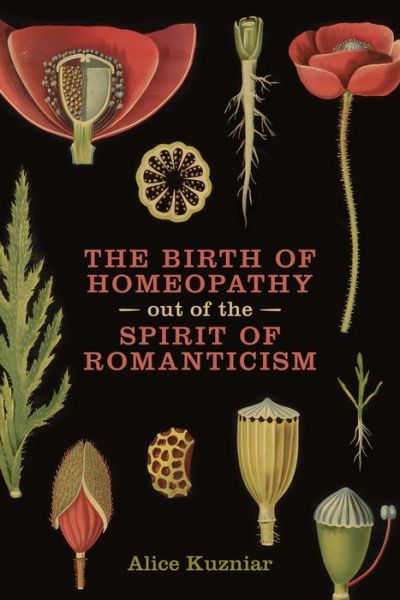 Cover for Alice Kuzniar · The Birth of Homeopathy out of the Spirit of Romanticism (Paperback Book) (2017)
