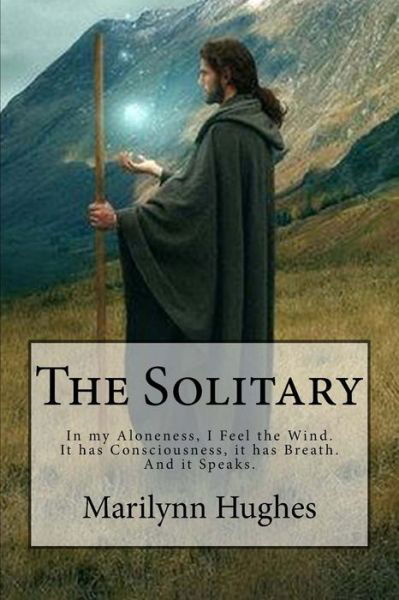 Cover for Marilynn Hughes · The Solitary: an Out-of-body Travel Book (Paperback Book) (2014)