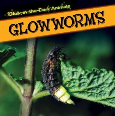 Cover for Kristen Rajczak · Glowworms (Hardcover Book) (2014)