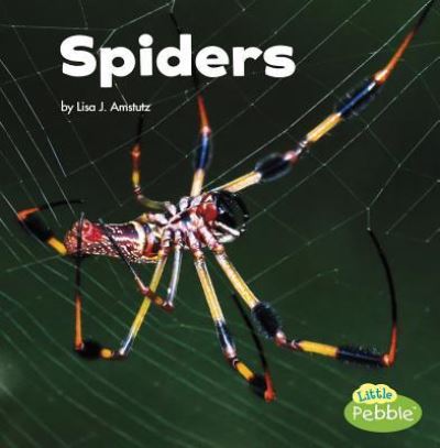 Cover for Lisa J. Amstutz · Spiders (Book) (2017)