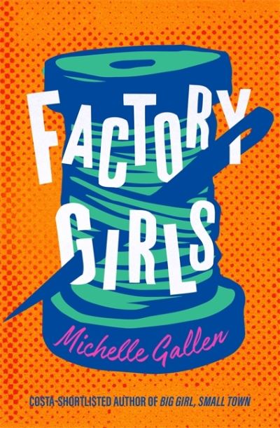 Cover for Michelle Gallen · Factory Girls: WINNER OF THE COMEDY WOMEN IN PRINT PRIZE (Hardcover Book) (2022)