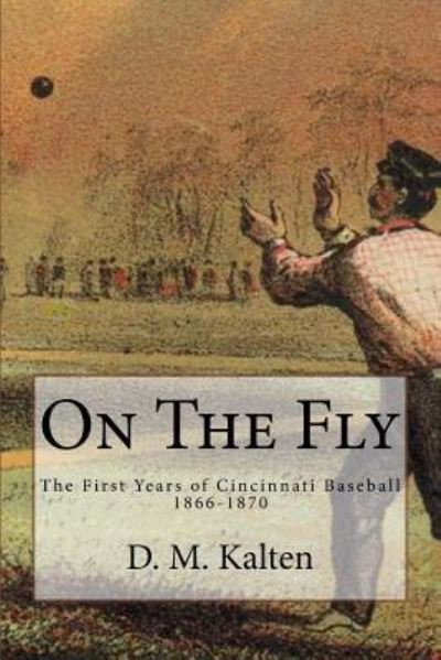 Cover for D M Kalten · On The Fly (Paperback Book) (2016)