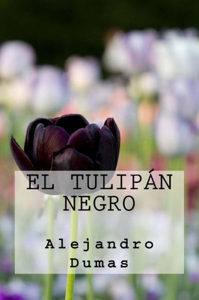 Cover for Alejandro Dumas · El Tulipan Negro (Paperback Book) [Spanish edition] (2016)