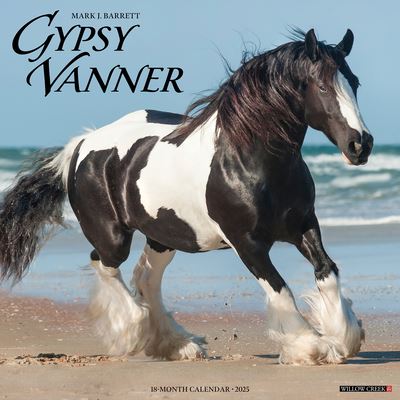 Gypsy Vanner Horse 2025 12 X 12 Wall Calendar - Willow Creek Press - Merchandise - Willow Creek Press Calendars - 9781549243264 - September 10, 2024