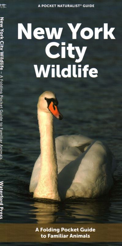 Cover for Waterford Press · New York City Wildlife: A Folding Pocket Guide to Familiar Animals (Pamflet) (2023)