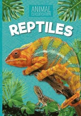Cover for Steffi Cavell-Clarke · Reptiles - Animal Classification (Paperback Bog) (2019)