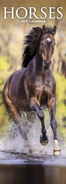 Horses Slim Calendar 2025 Horses Slimline Calendar - 12 Month -  - Gadżety - Avonside Publishing Ltd - 9781804605264 - 1 lipca 2024