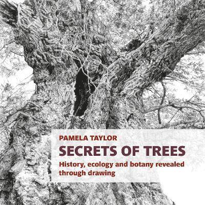 Cover for Pamela Taylor · Secrets of Trees: History, ecology and botany revealed through drawing - Botanical Art Portfolios (Paperback Book) (2025)