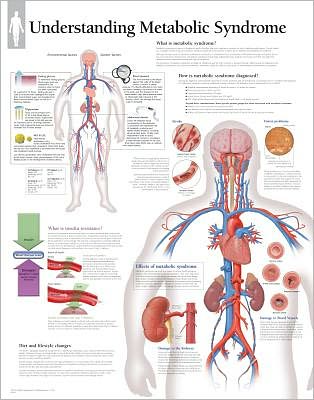 Understanding Metabolic Syndrome Laminated Poster - Scientific Publishing - Merchandise - Scientific Publishing - 9781932922264 - November 22, 2005