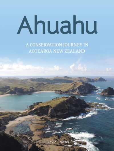 Cover for David Towns · Ahuahu (Book) (2023)